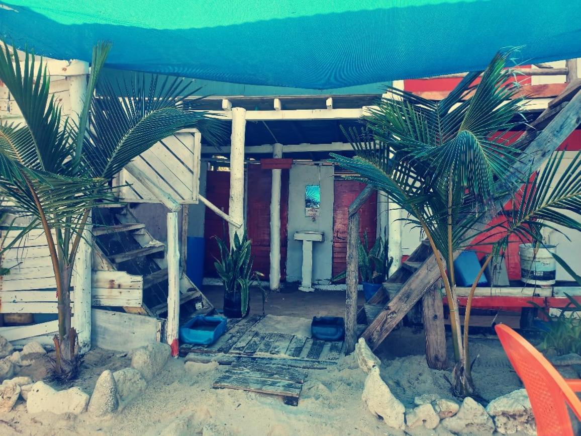 Playa Tortuga Cabana プラヤ・ブランカ エクステリア 写真